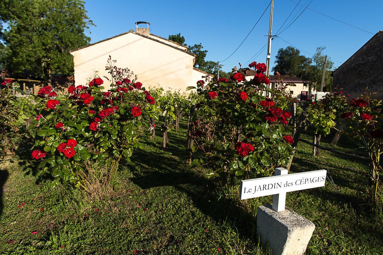 Les Cinq Sens Du Chateau Mayne Lalande Hotel Castelnau-de-Médoc Kültér fotó
