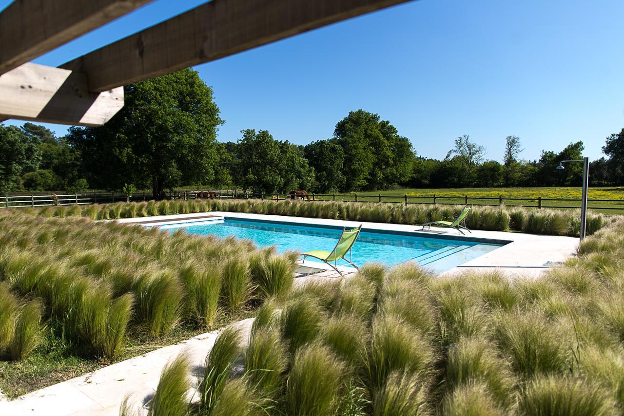 Les Cinq Sens Du Chateau Mayne Lalande Hotel Castelnau-de-Médoc Kültér fotó